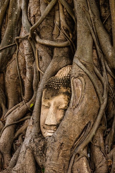 144 Thailand, Ayutthaya, Wat Phra Mahathat.jpg